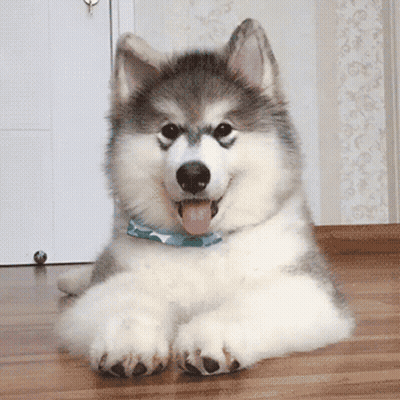 Man And Woman Looking At Each Other Saying There's No Need For Me To Ever Doubt You GIF