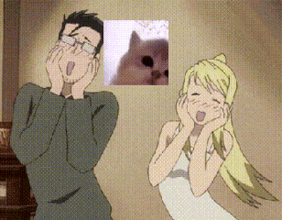 Man And Woman Next To Cat Picture GIF