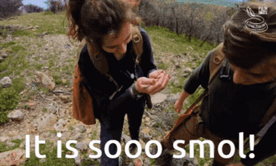 Man And Woman Saying It Is Sooo Smol GIF