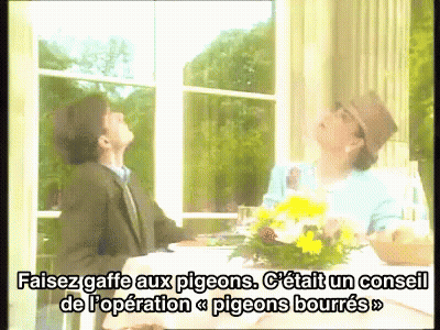 Man And Woman Sitting At Table With Flowers Saying Pigeons GIF
