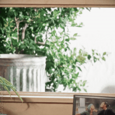 Man And Woman Sitting By Potted Plant Named David GIF