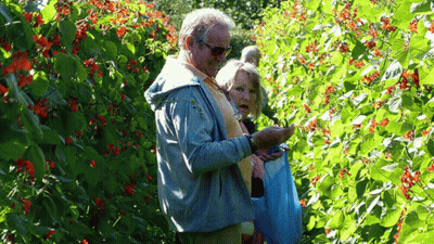 Man And Woman Standing In Front Of Bush With Red Berries GIF