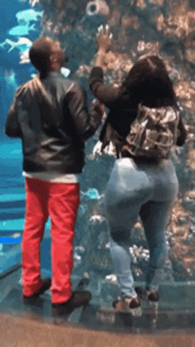 Man And Woman Standing In Front Of Large Aquarium GIF