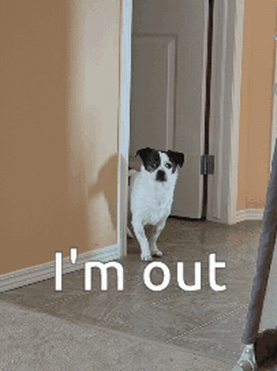 Man And Woman Standing In Park GIF