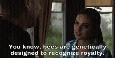 Man and Woman Talking About Bees Recognizing Royalty