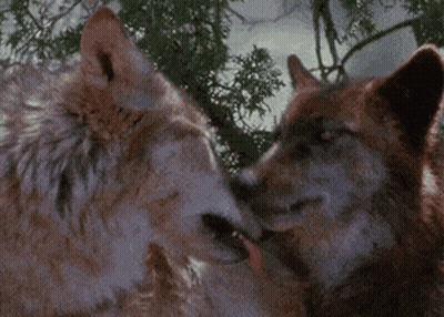 Man And Woman Talking On Couch GIF