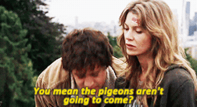 Man And Woman Talking Woman Says You Mean The Pigeons Aren't Going To Come GIF