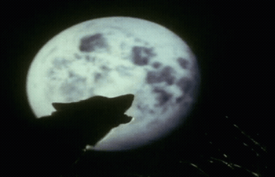 Man And Woman Touching Foreheads In Front Of Bookshelf GIF