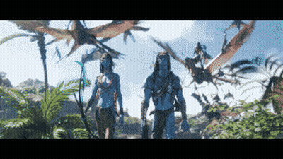 Man And Woman Walking In Jungle With Birds GIF