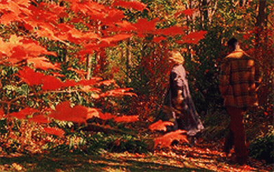 Man And Woman Walking Through Red Leaves Forest GIF