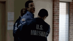 Man Arrested By Us Marshall GIF