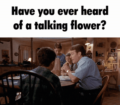Man Asking Woman What Girl GIF