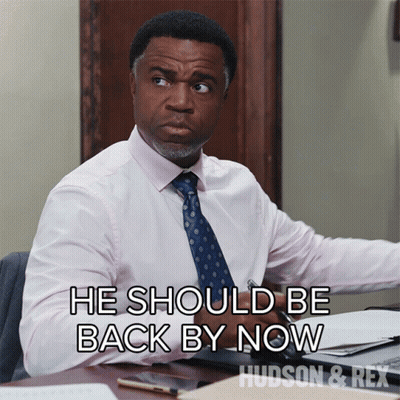 Man At Desk Saying He Should Be Back By Now Hudson & Rex GIF