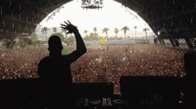 Man At Music Festival With Hand Up GIF