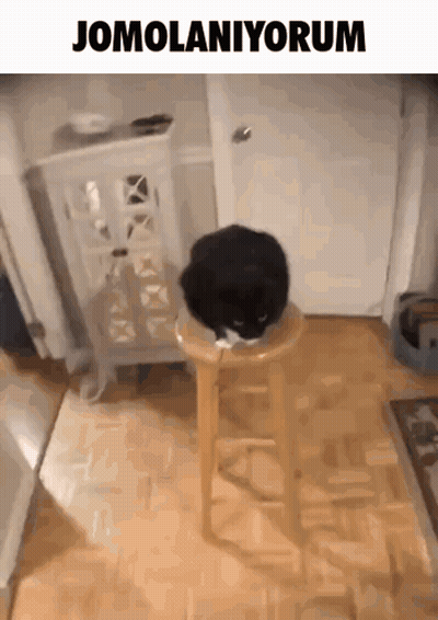 Man At Poker Table With Chips And Shelly Orb Sign GIF