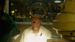 Man Attacked By Moth GIF