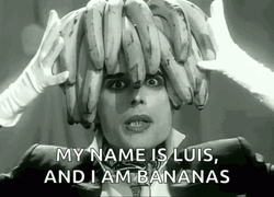 Man Banana Hair Meme GIF