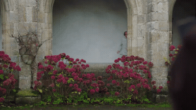 Man Behind Stone Wall With Pink Flowers GIF