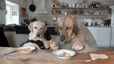 Man Black Horse Tank Top Sports 1 HD Action Live GIF