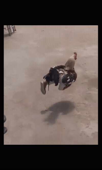 Man Blowing Bubble Gum While Laying Down GIF