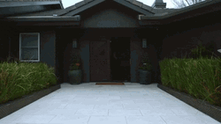 Man Bringing Happy Birthday Balloons GIF