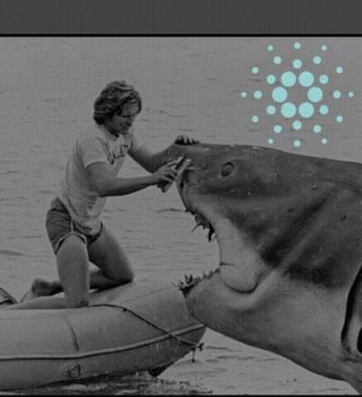 Man Brushing Shark On Boat GIF