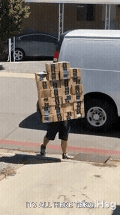 Man Carrying Boxes Saying It's All Here Teka Hog GIF