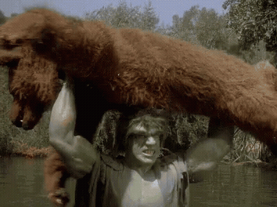 Man Carrying Brown Bear On Shoulders GIF