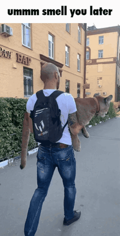 Man Carrying Messi Backpack And Cat GIF