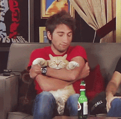 Man Cat Lover Hugs GIF
