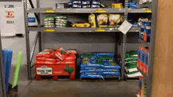 Man Caught Stealing Walmart Funny GIF