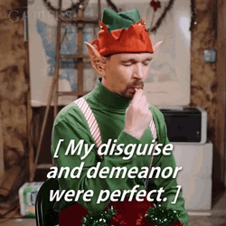 Man Christmas Elf Disguise Demeanor GIF