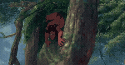 Man Climbing A Tree GIF