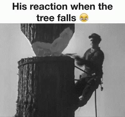 Man Climbing Tree Stump Black And White Reaction When Tree Falls GIF