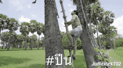 Man Climbing Up Tree With Number 702 GIF