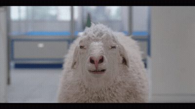 Man Close Up Making A Face GIF