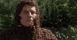 Man Covered With Bees GIF
