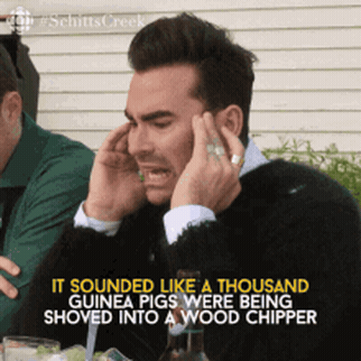 Man Covering Ears Saying Guinea Pigs GIF