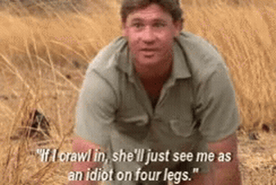 Man Crawling In Grass Saying If I Crawl In She'll See Me As An Idiot GIF