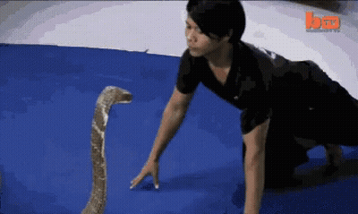 Man Crawling Next To Snake On Blue Mat With BT Logo GIF