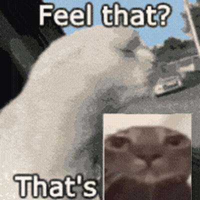 Man Crying With Why Did He Do That GIF