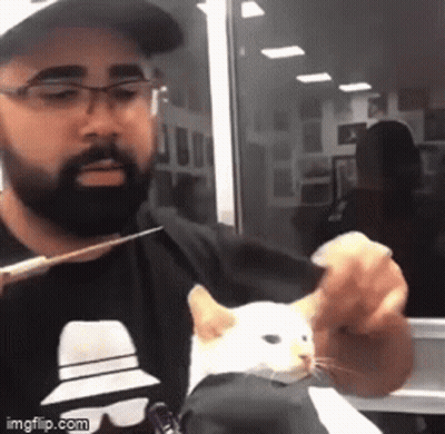 Man Cutting Cat Ear With Scissors GIF
