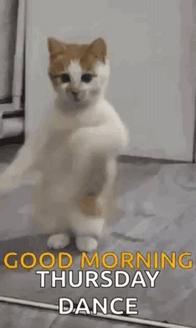 Man Dancing In Front Of Couch Saying You Say Thursday We Say Friday Eve GIF