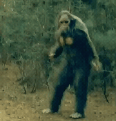 Man Dancing Next To Monkey In Forest GIF