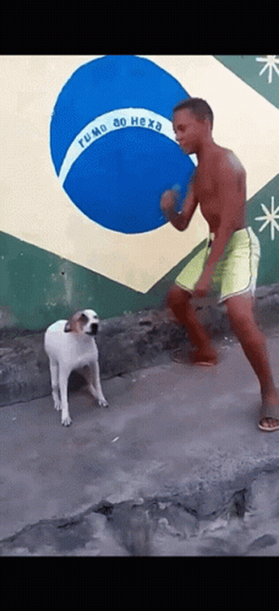 Man Dancing With Dog In Front Of Rumo Ao Hexa Flag GIF