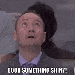 Man Distracted By Shiny Thing GIF