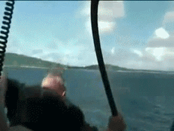 Man Dive Hugging Fish GIF