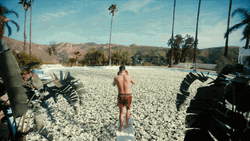 Man Dives On Dollar Bills GIF