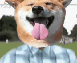 Man Dog Running GIF