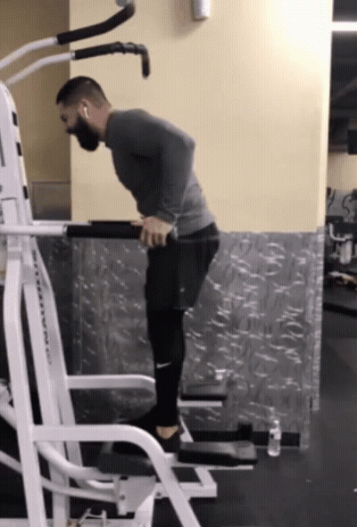 Man Doing Dips On Titan Machine GIF